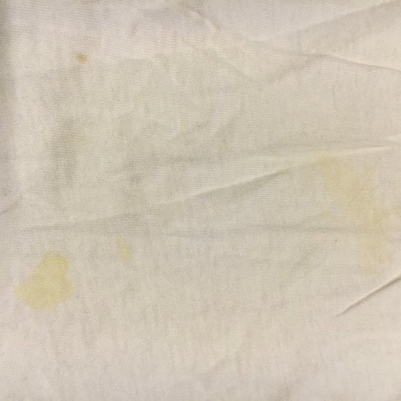 Frog Holler shirt - NO TAGS - Picture 2 of 2